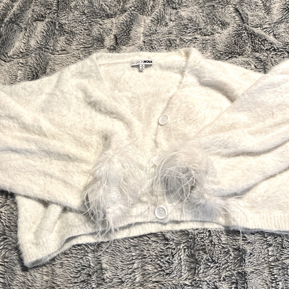 Fashion Nova cropped sweater